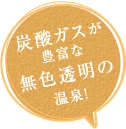 炭酸ガスが豊富な無色透明の温泉!