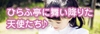 ひらふ亭に舞い降りた天使たち